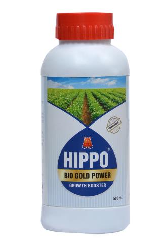HIPPO GOLD POWER